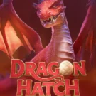 Dragon Hatch