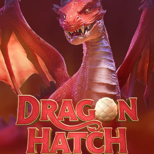 Dragon Hatch