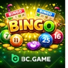 Bingo