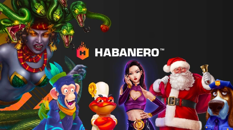 Provider dan Karakter Mesin Slot