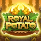 Royal Potato