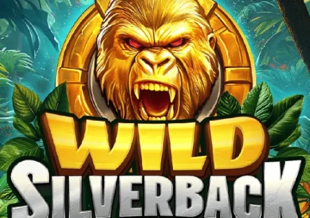 Wild Silverback
