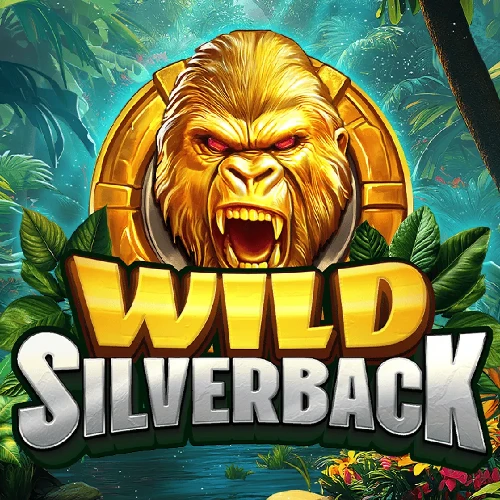 Wild Silverback