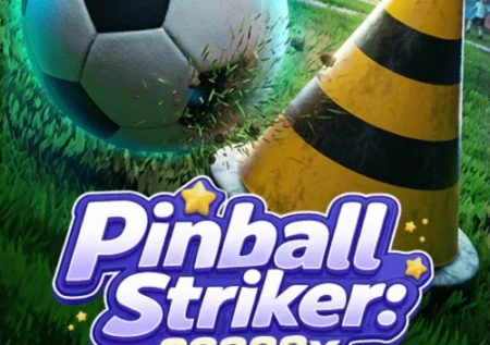 Pinball Striker 20000x