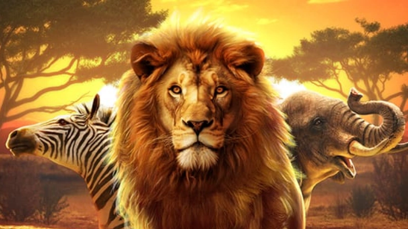 Safari Wilds Review