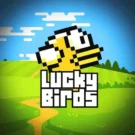 Lucky Birds