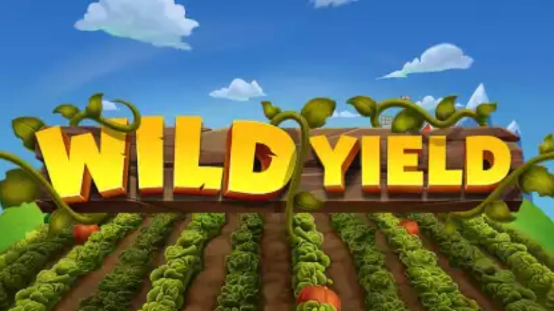 Wild Yield Review